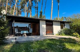 Haus kaufen in 04849 Bad Düben, Bad Düben - Wochenendhaus im Grünen -Bad Düben Hammermühle
