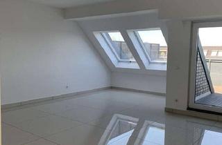 Wohnung mieten in Witzelstraße 74, 40225 Bilk, 2 Zimmerwohnung mit Dachterrasse in Bilk - Wentzel-Dr