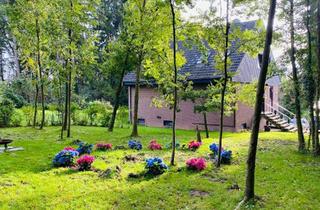 Wohnung mieten in 49191 Belm, Attraktive 2-Zimmer-Wohnung im Grünen mit Balkon/Garten in Belm