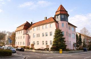 Wohnung mieten in 01809 Heidenau, Frisch Sanierte 2 Raum Wohnung mit Balkon, große neue Einbauküche, neues Bad im ruhigen Heidenau