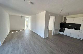 Wohnung mieten in Römerstraße 12, 72488 Sigmaringen, 2-Zimmer-Wohnung mit sep. Eingang