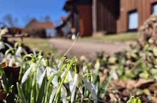 Wohnung mieten in (Z2) Erzstraße 22a, 38678 Clausthal-Zellerfeld, (Z2) Gemütliches WG-Zimmer in freundlicher Hausgemeinschaft in Clausthal-Zellerfeld