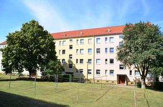 Wohnung mieten in Otto-Nuschke-Str., 06526 Sangerhausen, Einziehen auf eigene Gefahr – Sie wollen nie wieder weg!