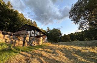 Wohnung mieten in 64401 Groß-Bieberau, 3-Zimmer-Wohnung in idyllischer Alleinlage in Groß-Bieberau - Natur pur