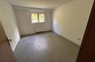 Wohnung mieten in Dietlinger Straße 64, 75236 Kämpfelbach, Neu renovierte 2-Zimmer-Wohnung in Kämpfelbach, UG, 50m²