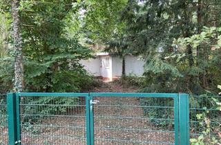 Haus kaufen in 31535 Neustadt, Einzigartiges Waldgrundstück mit Wochenendhaus und Teichzugang – Ideal für Naturfreunde und Bastler