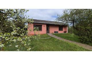 Haus kaufen in 29478 Höhbeck, Direkt am Elbdeich * Kleiner, feiner Bungalow auf großem Grundstück mit EBK, Kamin und Garage