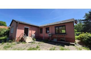 Haus kaufen in 29478 Höhbeck, Direkt am Elbdeich * Kleiner, feiner Bungalow auf großem Grundstück mit EBK, Kamin und Garage
