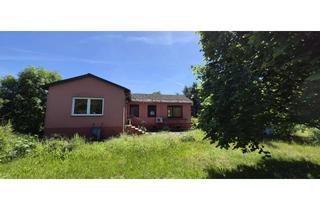 Haus kaufen in 29478 Höhbeck, Direkt am Elbdeich * Kleiner, feiner Bungalow auf großem Grundstück mit EBK, Kamin und Garage