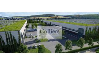 Gewerbeimmobilie mieten in 65830 Kriftel, EXKLUSIV über Colliers - PROVISIOSNFREI - ca. 60.000 m² Halle, teilbar ab 10.000 m²