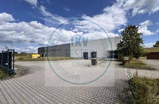 Gewerbeimmobilie kaufen in 04509 Delitzsch, InsO Ebrosia Logistikhalle in Delitzsch nahe Flughafen Leipzig/Halle
