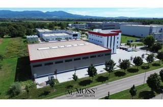 Gewerbeimmobilie mieten in 79427 Eschbach, Gewerbehalle ab 900m² im Gewerbepark Eschbach