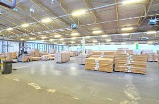 Gewerbeimmobilie mieten in 64653 Lorsch, Ab sofort! 0% Provision/ca. 20.000 m² Logistik- & Produktionsflächen in Lorsch