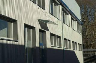 Gewerbeimmobilie kaufen in 31789 Hameln, Logistikimmobilie inkl. Büro- und großzügigen Freiflächen