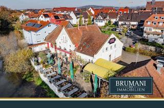 Anlageobjekt in 79341 Kenzingen, BRUMANI I Einzigartiges Ensemble mit vielen Nutzungsmöglichkeiten auf Inselgrundstück in Kenzingen