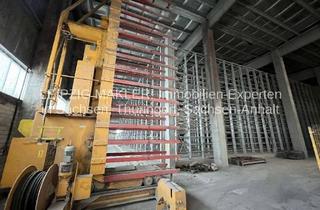 Anlageobjekt in Dresdener Straße 74, 04808 Wurzen, KAUF: Produktionshalle auf großem Gewerbegrundstück