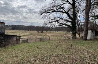 Grundstück zu kaufen in 16552 Schildow, Grundstück mit Gebäude zur Wochenendnutzung