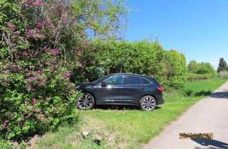 Grundstück zu kaufen in Im Gereutle 10, 71394 Kernen, Gepflegtes Gartengrundstück in ruhiger Lage
