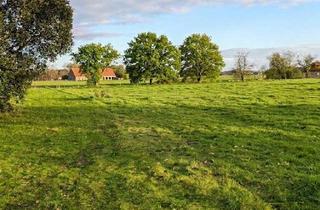 Grundstück zu kaufen in 59510 Lippetal, 900 m² Grundstück mit unverbaubaren Weitblick