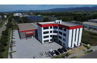 Büro zu mieten in 79427 Eschbach, Büroetage 500m² im Gewerbepark Eschbach