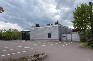 Büro zu mieten in Daimlerstraße 22, 67269 Grünstadt, Ehemalige Burger King Filiale - Als Einzelhandel, Büro oder Showroom umnutzbar