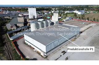 Gewerbeimmobilie kaufen in Dresdener Straße 74, 04808 Wurzen, KAUF: Produktionshalle auf großem Gewerbegrundstück