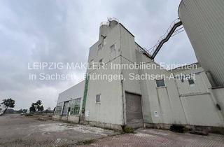 Gewerbeimmobilie kaufen in Dresdener Straße 74, 04808 Wurzen, BAUGRUNDSTÜCK mit Produktionshalle