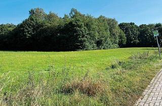 Grundstück zu kaufen in 29351 Wohlenrode, Grünfläche in 29351 Wohlenrode, Wohlenroder Straße