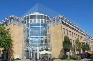 Gewerbeimmobilie mieten in 63225 Langen, KLE!N - Provisionsfrei - Flexible, helle Bürofläche in Langen