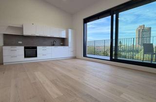 Penthouse mieten in U 16-17, 68161 Innenstadt, Exklusives Penthouse mit zwei Dachterrassen & Neckarblick – Erstbezug Mannheim Innenstadt
