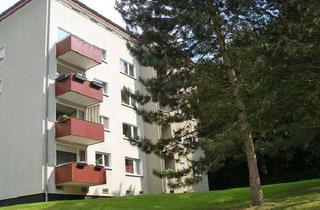 Sozialwohnungen mieten in Birkhahnweg, 34123 Bettenhausen, Frisch gestrichene 4-ZKB im 3. Stock sucht Nachmieter (kein WBS)