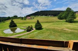 Wohnung mieten in Tonbachstraße 97, 72270 Baiersbronn, Möbelierte 1-Zimmer-Wohnung mit Balkon und Einbauküche in Baiersbronn/Reichenbacher-Höfe