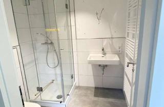 Wohnung mieten in Kirschner Str., 69226 Nußloch, Saniertes 1-Zimmer-Apartement mit Dachterrasse, Fußbodenheizung und TG-Stellplatz