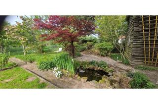 Haus mieten in 64658 Fürth, Geräumiges 6-Zimmer Einfamilienhaus in Fürth