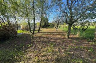 Grundstück zu kaufen in 74395 Mundelsheim, Freizeitgrundstück in Mundelsheim