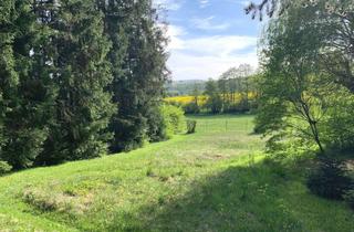 Grundstück zu kaufen in 61267 Neu-Anspach, NATUR PUR: Einzigartiges Grundstück in bester Lage von Neu-Anspach