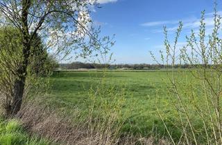 Immobilie kaufen in 27449 Kutenholz, Grünland in Kutenholz zu verkaufen!