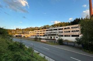 Gewerbeimmobilie kaufen in Klingenthaler Straße 23e, 08262 Tannenbergsthal, Mehrgeschossige Gewerbehalle mit ca. 6.000 m² Nutzfläche und großem Grundstück (16.838 m²), flexibel nutzbar