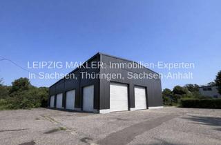 Gewerbeimmobilie kaufen in Friederikenstraße 57, 04279 Leipzig, ZU VERKAUFEN: 2x Lagerhalle in Leipziger Süden im OT Dölitz-Dösen 1669 m²