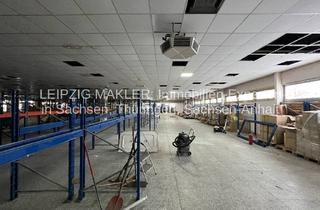 Geschäftslokal mieten in Straße Der Jugend, 04509 Delitzsch, ZU VERMIETEN: Vielseitig nutzbare Einzelhandelsfläche ( 2.200 m²) in Delitzsch-Nord