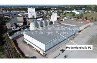Lager kaufen in Dresdener Straße 74, 04808 Wurzen, KAUF: Produktionshalle auf großem Gewerbegrundstück