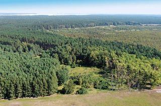 Grundstück zu kaufen in 17375 Ahlbeck, MEA am Grundstück in 17375 Ahlbeck