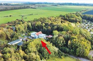 Grundstück zu kaufen in 18356 Barth, Waldfläche in18356 Barth, Divitzer Weg (westlich von Nr. 3)