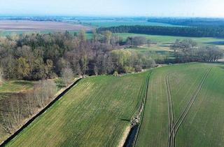 Grundstück zu kaufen in 18513 Glewitz, Grundstücke in 18513 Glewitz OT Strelow und OT Voigstdorf