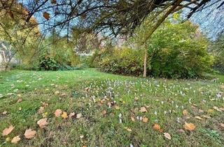Haus kaufen in 16341 Panketal, Panketal - Neubaupotential in Panketal auf teilbarem Grundstück an der Dranse
