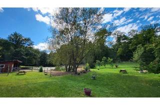 Bauernhaus kaufen in 66482 Zweibrücken, Zweibrücken - Haus mit Pferdeparadies in idyllischer Lage von Soucht (F)