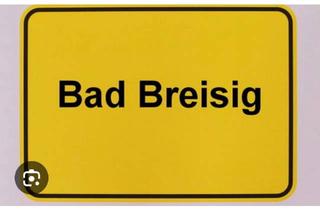 Wohnung kaufen in 53498 Bad Breisig, Bad Breisig - Eigentumswohnung im Zentrum von Bad Breisig -ohne Makler-