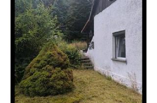 Einfamilienhaus kaufen in 15890 Eisenhüttenstadt, Eisenhüttenstadt - Altes EinfamilienhausWochenendhaus Scheune Grundstück 5000 m2