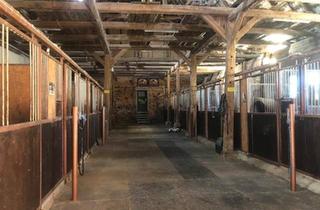 Mehrfamilienhaus kaufen in 01683 Nossen, Nossen - Pferdehaltung, Mehrfamilienhaus, Wohngemeinschaft