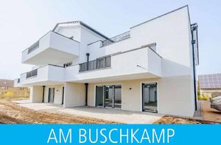 Wohnung kaufen in 33758 Schloß Holte-Stukenbrock, Moderne 4-Zimmer-Wohnung im 1. OG mit Balkon - Neubau EH40 Standard